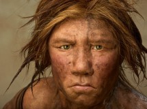 El hombre moderno y los Neandertales no convivieron al sur de la Península Ibérica