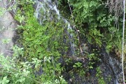 DSC00044