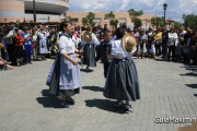 IMG_5133