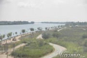 P6150304