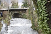 Rascafria_121208176 Rascafria_121208176