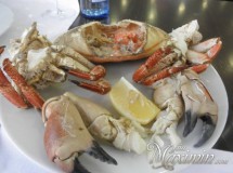 MARISQUERIA CASA CESAR (LAS ROZAS-M)