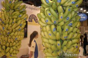 platano de canarias platano de canarias