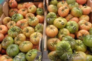 tomates solita tomates solita
