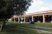 PA220201 PA220201