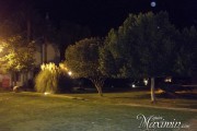 PA220281 PA220281