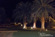 PA220282 PA220282