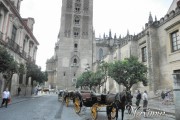 giralda