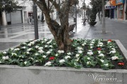 gran_via