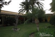 Hotel Don Carlos (Marbella-MA)