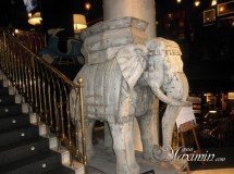National Geographic Café (Madrid)