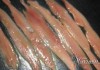 Feria de la anchoa y la conserva de Cantabria (Santoña)