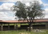 La carne de La Finca Jiménez Barbero (Colmenar del Arroyo-M)