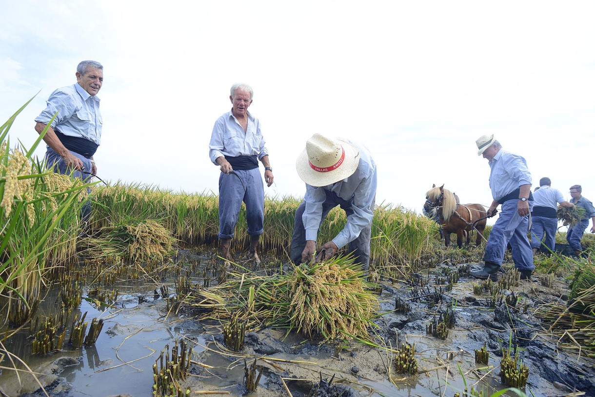 Jornadas del arroz valenciano TASTARROS (Valencia)