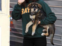 Justin Bieber y Selena Gomez adoptan un perro