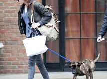 Kristen Stewart y Robert Pattinson, en guerra por la custodia de su perro Bear