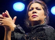 Mezcla de veteranía y juventud en los Premios Flamenco Hoy de la crítica