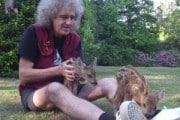 9331Brian May y su amor por los animales salvajes