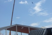 2009_0606bcnextreme0005