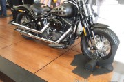 2010_0619HarleyDays20100119
