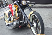 2010_0619HarleyDays20100126