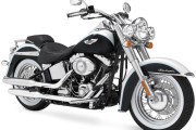 10655Harley-Davidson FLSTN Softail Deluxe. Vuelta a los años 50