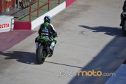 044.Rosell