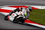 qp sandro