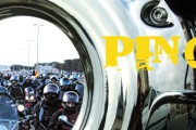 22729Peligra Pingüinos 2012