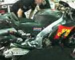 MotoGP Bauti