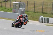 testcevmartesCAT0081
