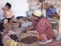 Aceite de Argán, el oro líquido de Marruecos