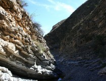 Parras de la Fuente