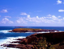Isla Canguro, hogar de mamíferos