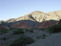 Cabañas Los Colorados