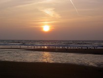 Texel, la isla de las ovejas y las dunas