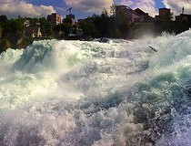 Las cataratas del Rhin, las más grandes de Europa