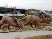 Museo Royal Tyrrell