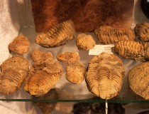 Museo de Minerales de Siofok
