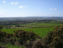 Museo irlandés de la Agricultura