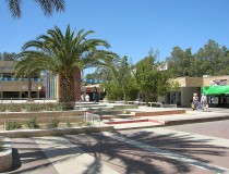 Centro de Visitantes de Arad
