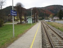 Museo Gauermann en Miesenbach