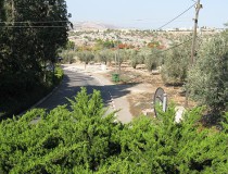 Museo Qedem en Kedumin