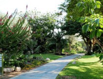 Museo Juara cerca de Kibbutz Ein Hashofet