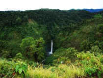 Jardín Ecológico Pierella