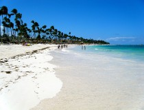 Experiencia para nadar con delfines en Punta Cana