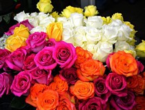 Celebración del San Valentín