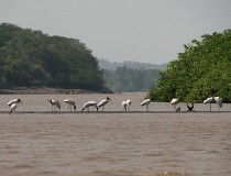 Área de Conservación Arenal Tempisque
