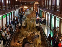 Museo de Ciencias Naturales El Carmen, la naturaleza de todo el mundo al alcance en Onda