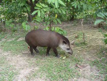 Parque Agroecológico Merecure